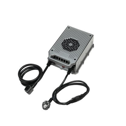LS1 Externe 1500W-lader